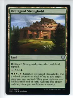BRETAGARD STRONGHOLD Kaldheim #253 KHM(NM)(MTG) - Image 1