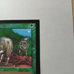 Timber Wolves x (1) MTG - Collectors' Edition (CE) - EX/NM - Image 3