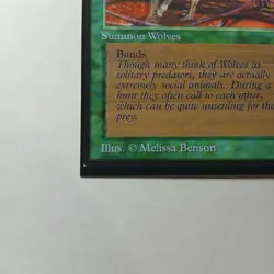 Timber Wolves x (1) MTG - Collectors' Edition (CE) - EX/NM - Image 4