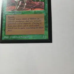 Timber Wolves x (1) MTG - Collectors' Edition (CE) - EX/NM - Image 5