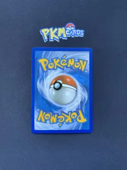Pokemon TCG Tepig Mcdonalds Promo 13/25 Holo Promo 2021 LP. - Image 2