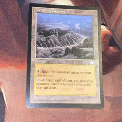 Winding Canyon X1 Mtg Weatherlight Nm - Image 1