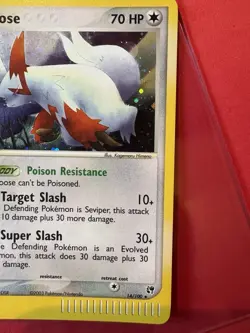 💥 Zangoose Holo Foil 14/100 2003 Pokemon TCG EX Sandstorm Holo Rare - Image 2