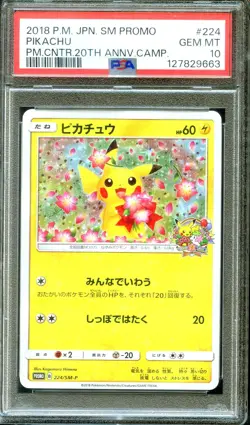 PSA 10 Pikachu 224/SM-P 20th Anniversary Camp Promo Japanese Pokemon - Image 1