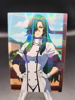 Rose The Wrong Way To Use Healing Magic Anime Waifu Card Doujin ACG Goddess Holo - Image 1