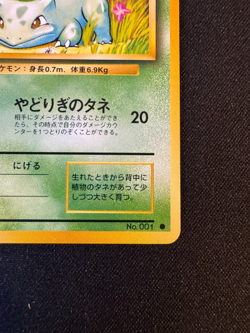 Bulbasaur No. 001 Base Set 1996 Japanese Pokemon Card - Near Mint - Image 3