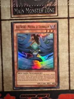 Yugioh Blackwing - Gale The Whirlwind AP04-EN004 Super Rare FRENCH EURO LP - Image 1