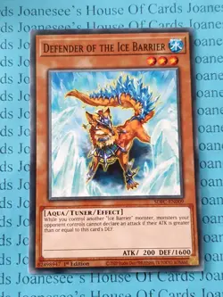 Defender of the Ice Barrier SDFC-EN009 Yu-Gi-Oh Card 1st Edition - Image 1