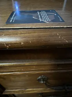 Azula, Flame of Ember Island Diaochan, Artful Beauty Borderless MTG - Avatar - Image 5