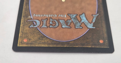 Champion of Lambholt LP #171 Avacyn Restored MTG - Image 4