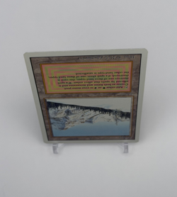 Taiga Revised Edition Regular - Image 4