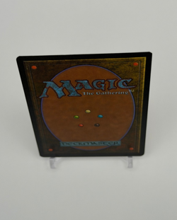 Taiga Revised Edition Regular - Image 5