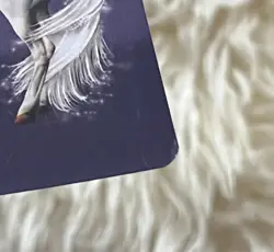 Bella Sara Native Lights FOIL Card- "Laguna" S8/17 - Image 2