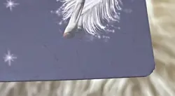 Bella Sara Native Lights FOIL Card- "Laguna" S8/17 - Image 3