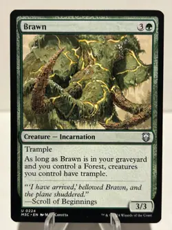 Brawn 224 U Commander: Modern Horizons 3 NM MTG - Image 1