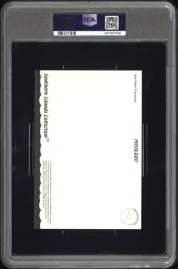 Charizard Mew Dragonite Southern Islands Pokemon Card Postcard 2001 PSA 9 POP 4 - Image 2