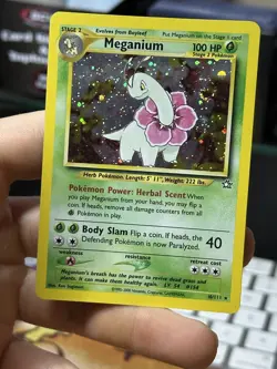 Meganium 10/111 Neo Genesis 2000 Holo Rare WOTC Pokemon Card TCG - Image 3