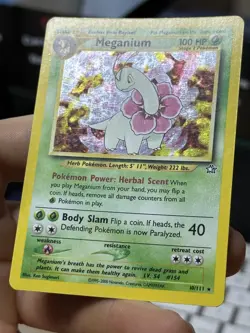 Meganium 10/111 Neo Genesis 2000 Holo Rare WOTC Pokemon Card TCG - Image 5