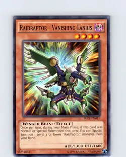 Yu-Gi-Oh TCG Raidraptor - Vanishing Lanius SECE-EN011 Unlimited Common Card NM - Image 1