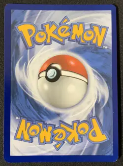Houndoom TG10/TG30 Brilliant Stars Trainer Gallery Holo Pokemon TCG Card NM - Image 2