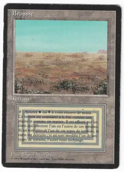 ►Magic-Style◄ MTG - Scrubland - French Revised FBB - Played - Image 1