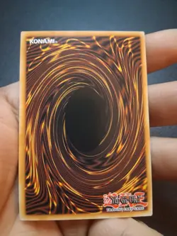 Yugioh!- Blue-Eyes White Dragon- Common(SDK version)- Ldk2-enk01-(LP) - Image 5