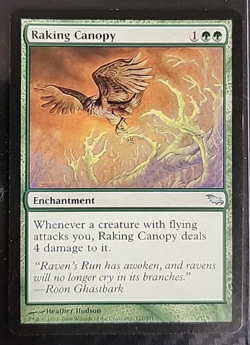 MTG Raking Canopy - Shadowmoor Card # 127 - Image 1