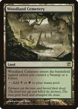 Woodland Cemetery Innistrad NM Land Rare MAGIC THE GATHERING MTG CARD ABUGames - Image 1