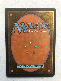 Mtg Carte Magic Fbb Northern Paladin French Foreign Black bordered LP - Image 2