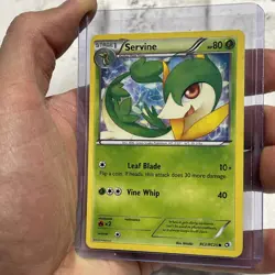 Servine RC2/RC25 Legendary Treasures: Radiant Collection Holo LP Pokemon Common - Image 2