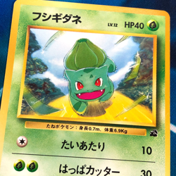 Bulbasaur - Bulbasaur Intro Deck Promo Rare Japanese - Pokemon Card - MP - Image 2