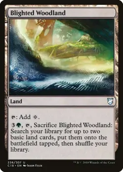 NM Blighted Woodland, MTG, Commander 2018, Magic the Gathering, 236 - Image 1