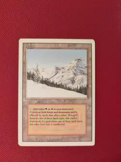Taiga MP Revised Mtg Magic - Image 1