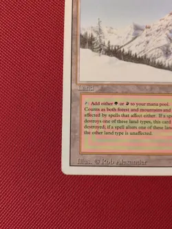 Taiga MP Revised Mtg Magic - Image 2