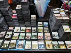 3000+ MTG MAGIC THE GATHERING CARDS COLLECTION LOT - COMMON UNCOMMON RARES FOILS - Image 4