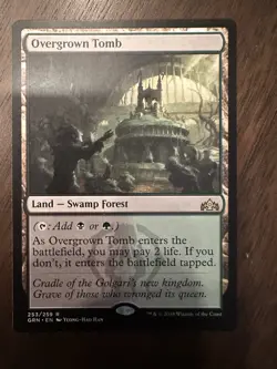 Overgrown Tomb : MTG / Guilds of Ravnica GRN #253 / NM - Image 1
