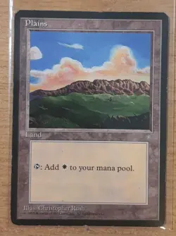 1995 MAGIC THE GATHERING ICE AGE PLAINS TD25 A - Image 1
