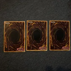 3x Yu-Gi-Oh! Tenacity Of The Monarchs - SR01-EN029 - Common - 1st Edition - NM - Image 2