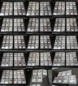 Star Trek CCG Rare Collection/Lot. 244 Unique Rare Cards + Foils - Image 1