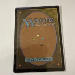 MTG, Hedge Maze FOIL (Borderless) 326 NM Murders at Karlov Manor Foil - Image 3