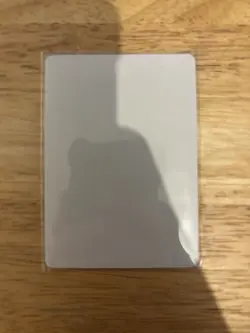 Pokemon Nessa Waifu Holo Card - Near Mint (Extra Spicy!) - Image 2