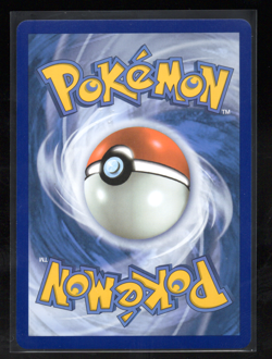 Pikachu V SWSH143 SWSH: Sword & Shield Promo Cards Holo Near Mint Pokemon TCG - Image 2