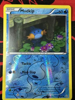Pokemon TCG Mudkip XY Primal Clash 33/160 Reverse Holo Common - Image 1