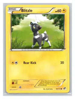 Pokemon TCG Blitzle 40/114 Black and White Normal MP - Image 1