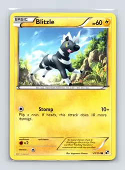 Pokemon TCG Blitzle (41) 41/114 Black and White Normal LP - Image 1