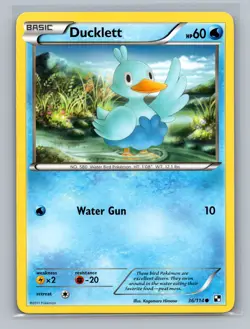 Pokemon TCG Ducklett 36/114 Black and White Normal LP - Image 1
