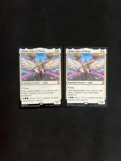 Shalai, Voice of Plenty x2 [Dominaria] Magic MTG Cards LP - Image 1