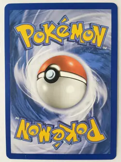 REVERSE HOLO Tepig 16/114 NM - Black White Pokemon Card - Image 2
