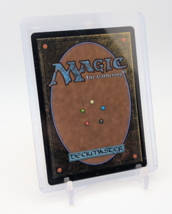 MTG - Sokka, Tenacious Tactician - FOIL Showcase Rare #352 Avatar: TLA NM - Image 2
