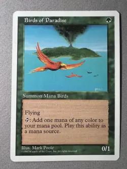 Birds of Paradise 5th Edition VLP - Image 1